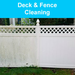 Deck & Fence Cleaning